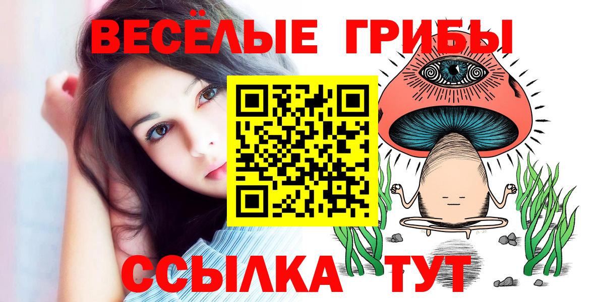 Псилоцибиновые грибы GOLDEN TEACHER Камышин
