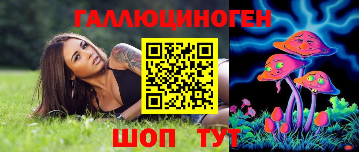 Галлюциногенные грибы Cubensis  хочу   Вход с VPN  Камышин  Псилоцибиновые грибы Psilocybe 